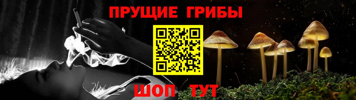 Пушкино  Галлюциногенные грибы Psilocybe  Вход с VPN 
